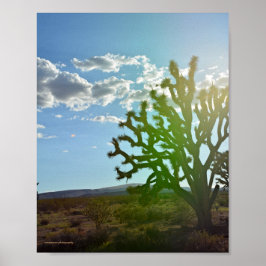 Desert Beauty Poster