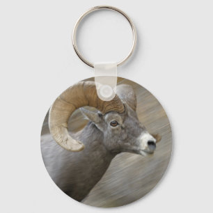 Desert Bighorn Ram Nyckelring
