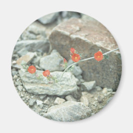 Desert-Blommar Dekorativt kylskåp, magnet