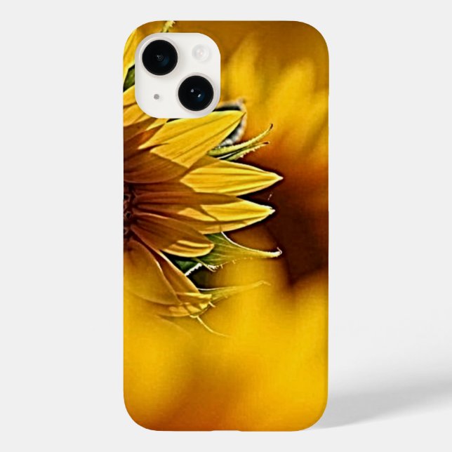 Desert Blooms (Baksida)