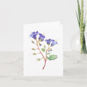 Desert Bluebells Tack Kort