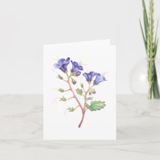 Desert Bluebells Tack Kort