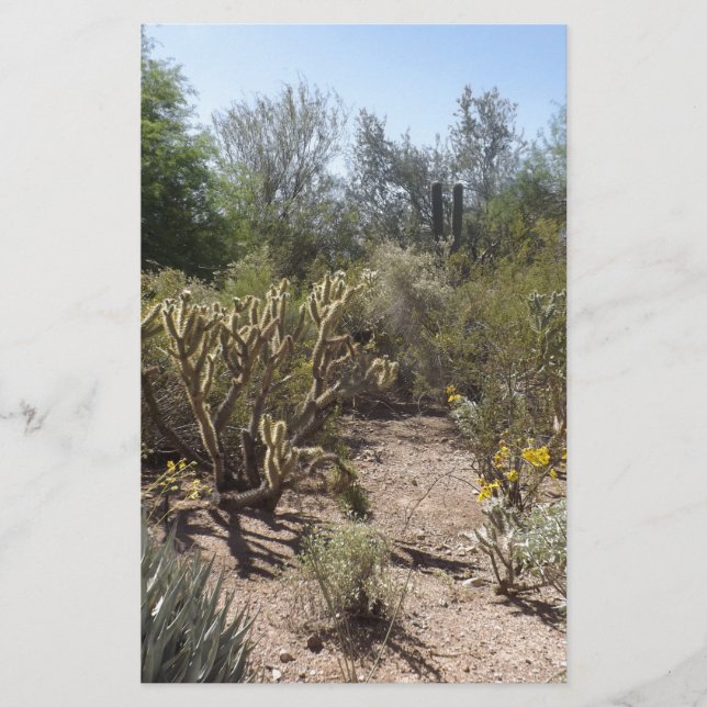 Desert Brevpapper (Framsida)