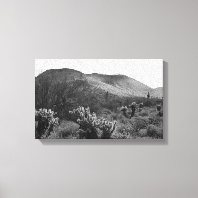 Desert Cacti Jumping Cholla B&W Photo Art Printing Canvastryck (Framsida)