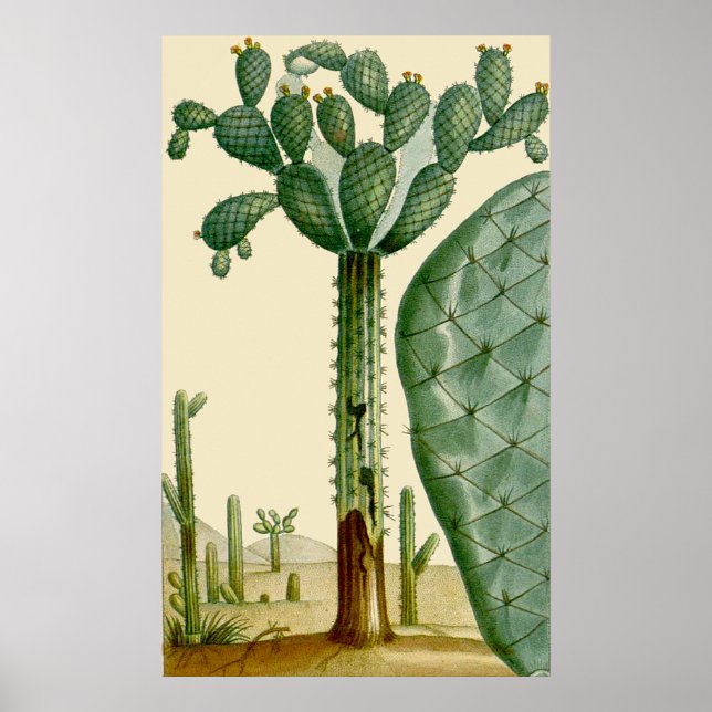 Desert Cacti Scene Poster (Framsidan)