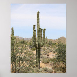 Desert Cactus 16x20 Poster dekorfärg för utskrift