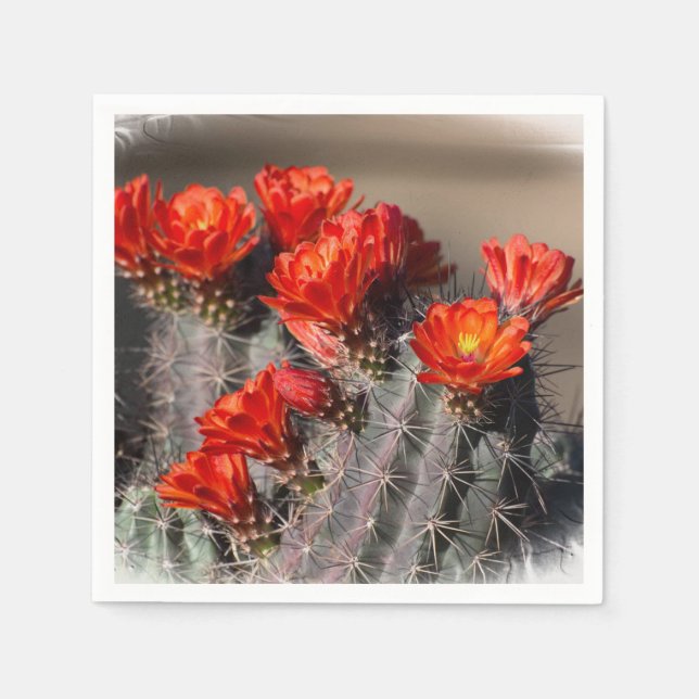 Desert Cactus Flower Pappersservett (Framsidan)