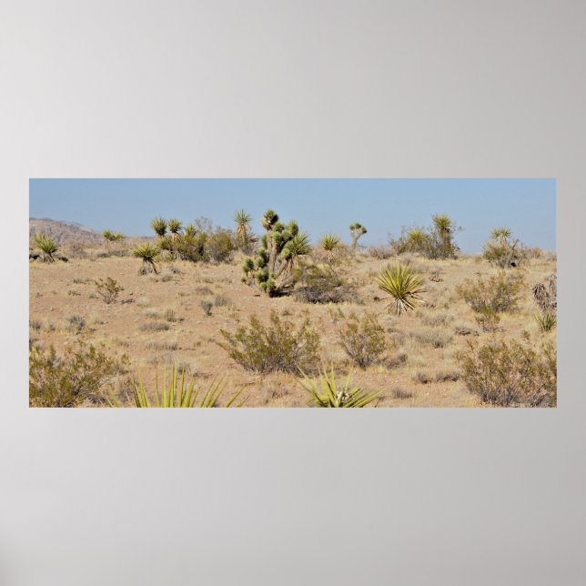 Desert Cactus och Plants Poster (Framsidan)
