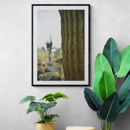 Desert Cactus Photography Poster