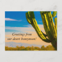 Desert Cactus Saguaro Honeymoon Tack