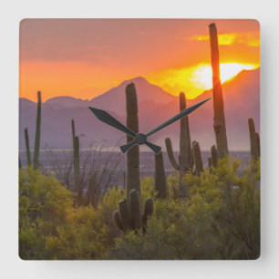 Desert cactus sunset, Arizona Fyrkantig Klocka