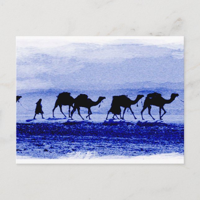 Desert Camel Caravan Blue vycard Vykort (Framsida)