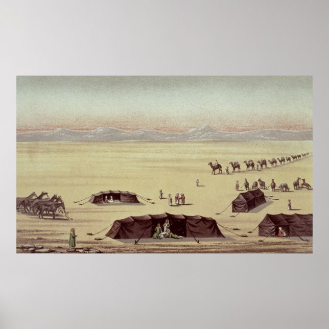 Desert Camp, Herr Richard Burton Poster (Framsidan)