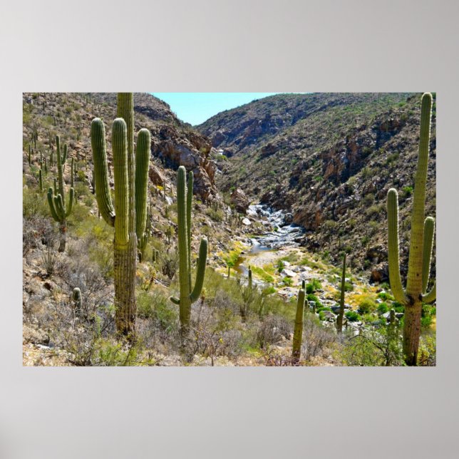 Desert Canyon Poster (Framsidan)