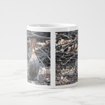 Desert Cottontail - Jumbo Mugg