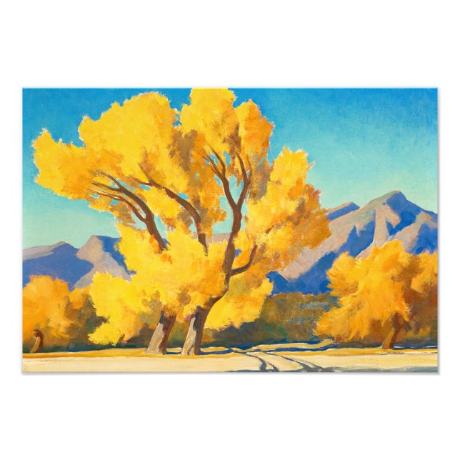 Desert Cottonwood, Arizona av Maynard Dixon Fototryck (Framsidan)