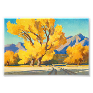 Desert Cottonwood, Arizona av Maynard Dixon Fototryck