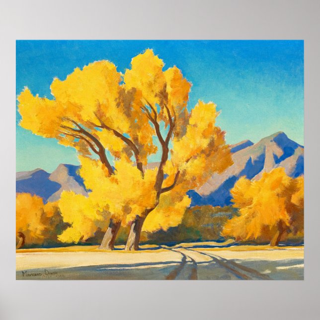Desert Cottonwood, Arizona av Maynard Dixon Poster (Framsidan)