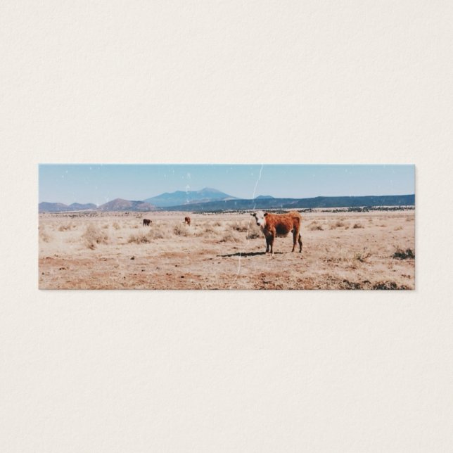 Desert Cow Litet Visitkort (Framsidan)