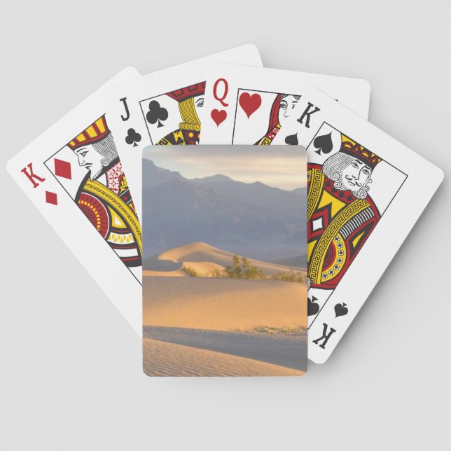 Desert Dawn Casinokort (Baksidan)