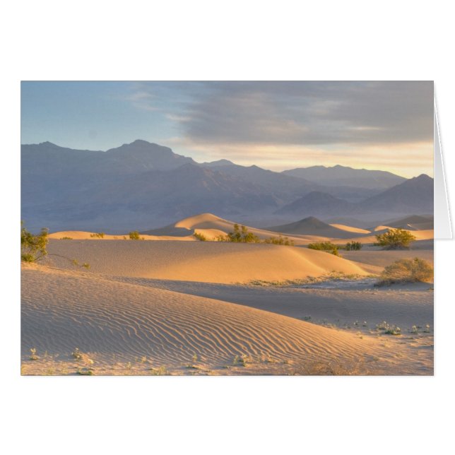 Desert Dawn Hälsningskort (Framsidan Horizontal)