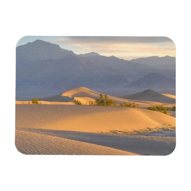 Desert Dawn Magnet (Horisontell)