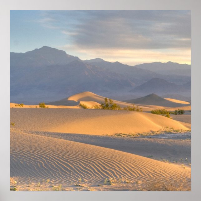 Desert Dawn Poster (Framsidan)