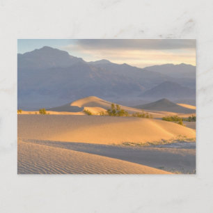 Desert Dawn Vykort