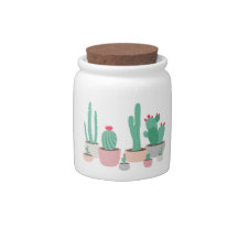 Desert Dreams Poted Cacti