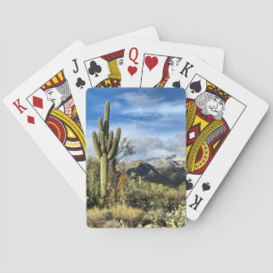 Desert Dreams Saguaro Cactus Catalina Mountains Casinokort