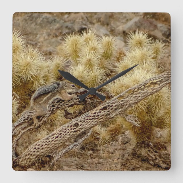 Desert-ekorre på Cholla Cactus Skeleton Fyrkantig Klocka (Framsida)