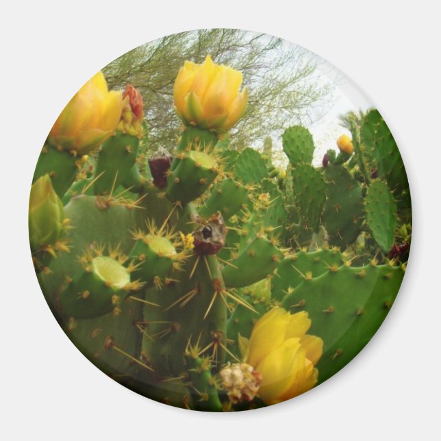 Desert Flower Magnet (Framsidan)