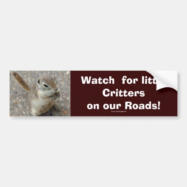 Desert Ground Squirrel Animal Motivational Bildekal (Framsidan)