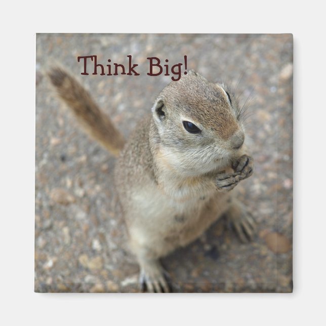 Desert Ground Squirrel Animal Motivational Magnet (Framsidan)
