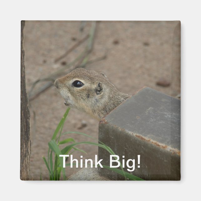 Desert Ground Squirrel Animal Motivational Magnet (Framsidan)