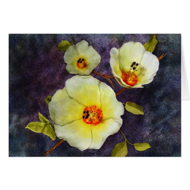 Desert Hibiscus OBS Kort (Framsidan Horizontal)