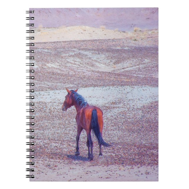 Desert Horse P8640 Anteckningsbok (Framsidan)
