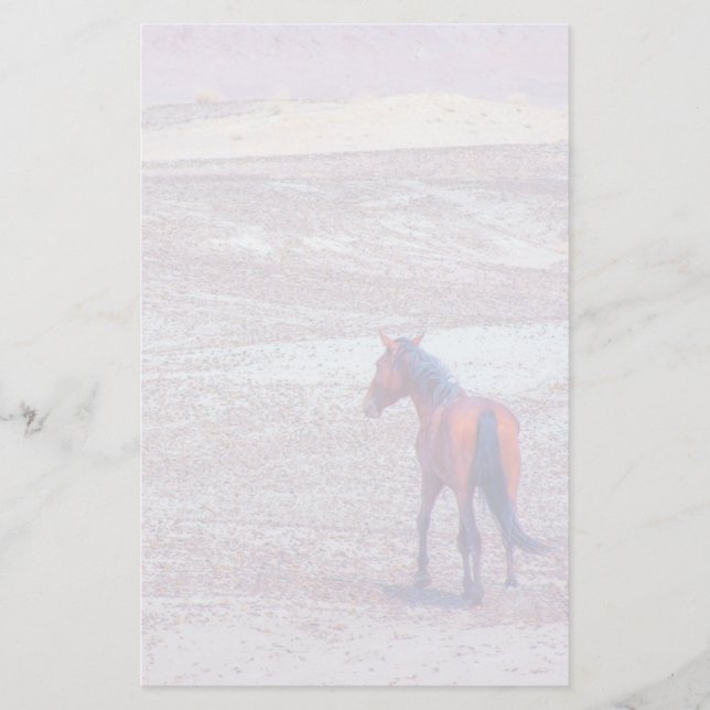 Desert Horse P8640 Brevpapper (Framsida)