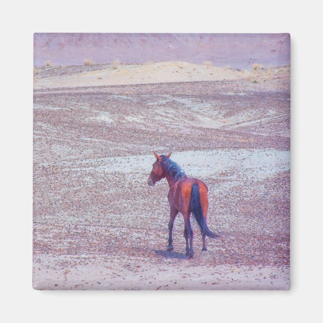 Desert Horse P8640 Magnet (Framsidan)