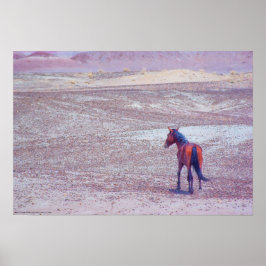Desert Horse P8640 Poster