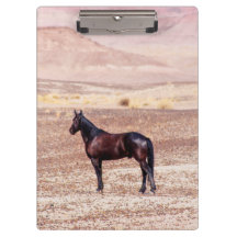 Desert Horse P8664