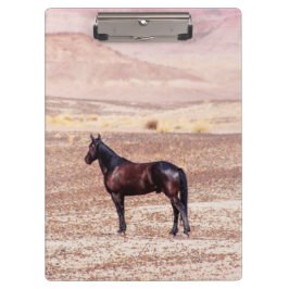 Desert Horse P8664