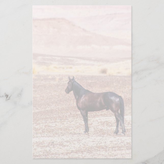 Desert Horse P8664 Brevpapper (Framsida)