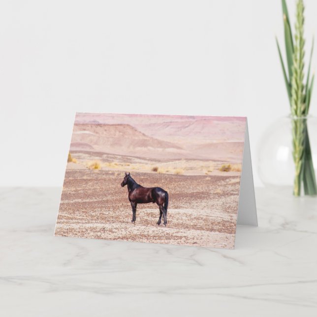 Desert Horse P8664 Kort (Framsida)
