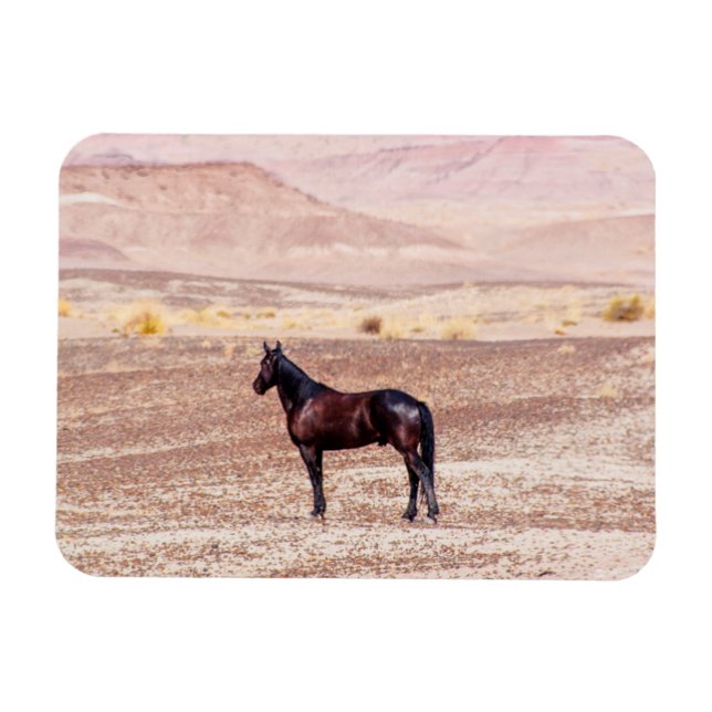 Desert Horse P8664 Magnet (Horisontell)
