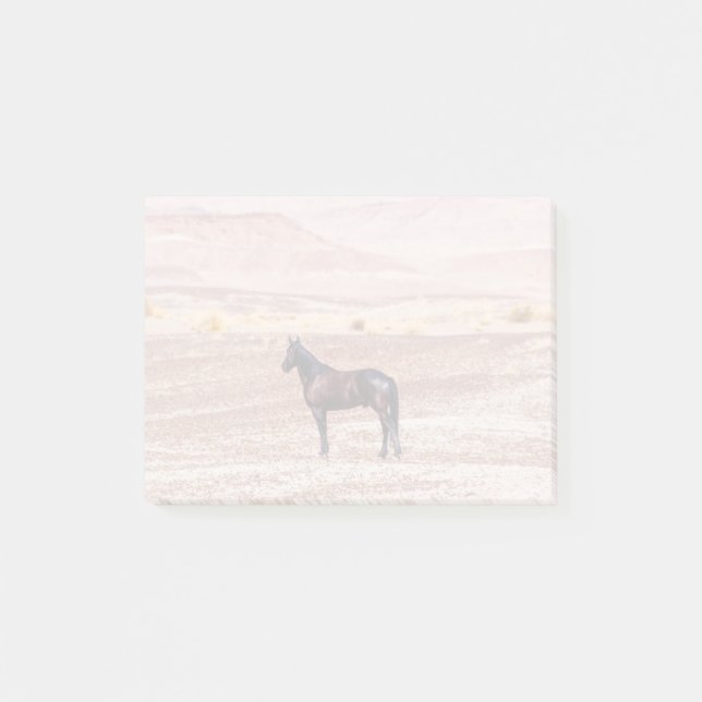 Desert Horse P8664 Post-it Block (Framsida)