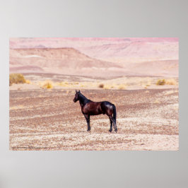 Desert Horse P8664 Poster