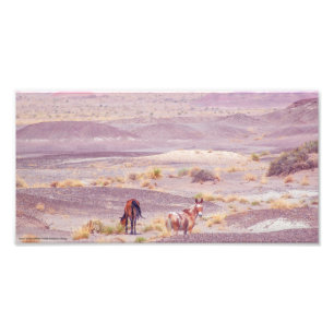 Desert Horses P8639 Fototryck