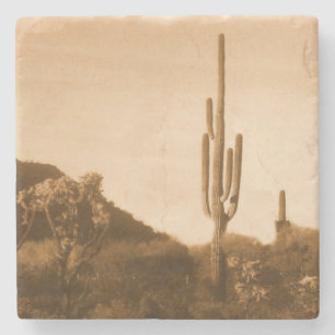 Desert i sepia stenunderlägg