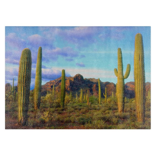 Desert i vår (Framsidan)